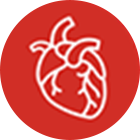 Cardiology
